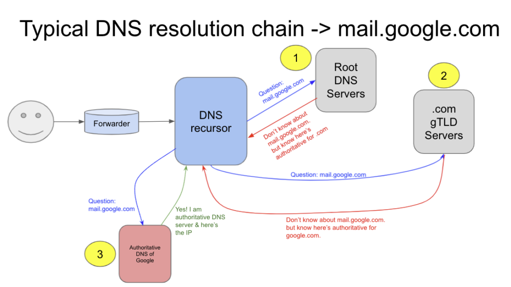 グルーレコード dns 販売